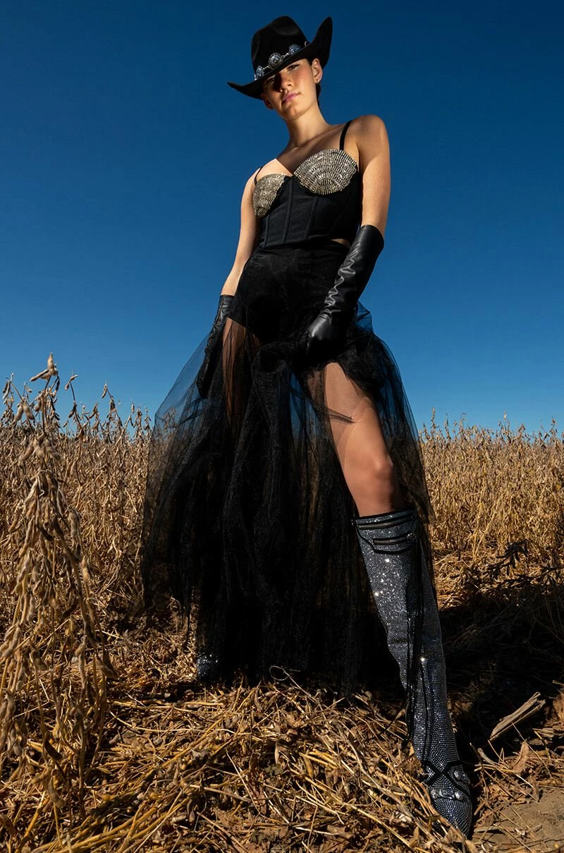 CHAMPAGNE WISHES EMBELLISHED CORSET